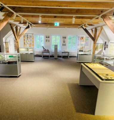 Schulmuseum Dauerausstellung Gesamtansicht