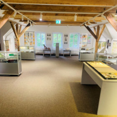 Schulmuseum Dauerausstellung Gesamtansicht